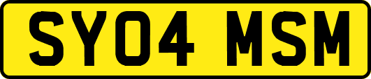 SY04MSM