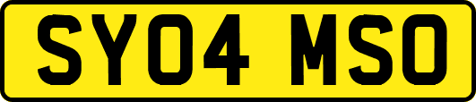 SY04MSO