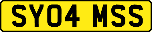 SY04MSS