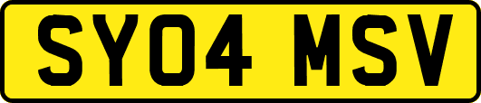 SY04MSV