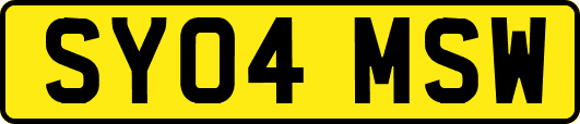 SY04MSW