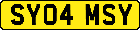 SY04MSY