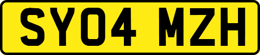 SY04MZH