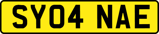 SY04NAE