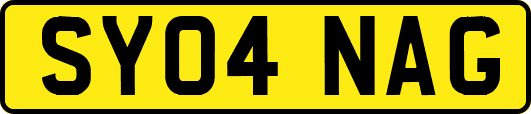 SY04NAG
