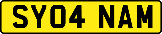SY04NAM