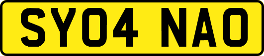 SY04NAO