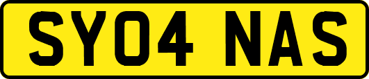 SY04NAS