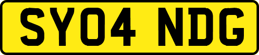 SY04NDG