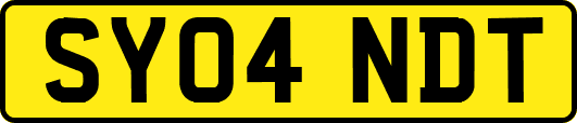 SY04NDT