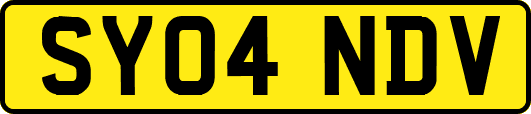 SY04NDV