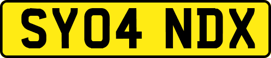 SY04NDX
