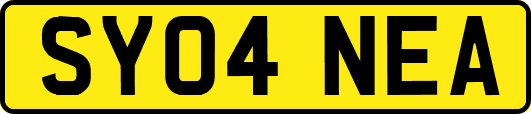 SY04NEA