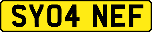 SY04NEF
