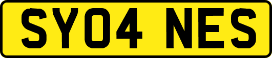 SY04NES