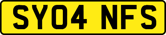 SY04NFS