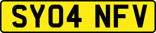 SY04NFV