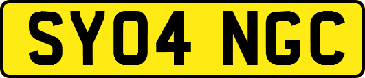 SY04NGC