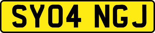 SY04NGJ