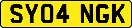 SY04NGK