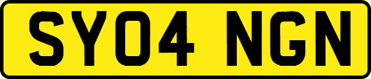 SY04NGN