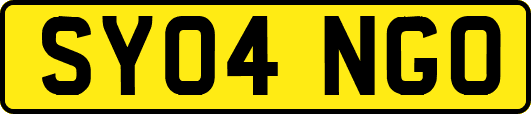 SY04NGO