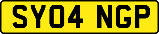 SY04NGP