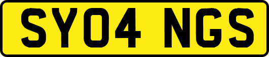 SY04NGS