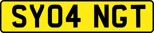 SY04NGT