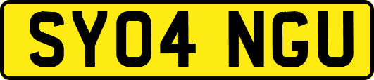 SY04NGU