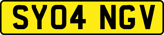 SY04NGV