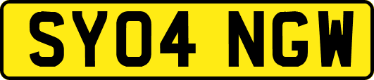 SY04NGW