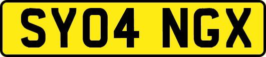 SY04NGX