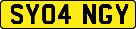 SY04NGY