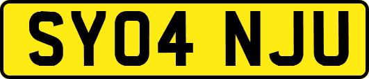 SY04NJU