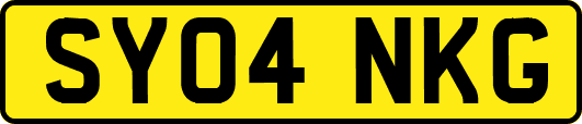 SY04NKG