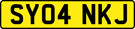 SY04NKJ