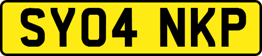 SY04NKP