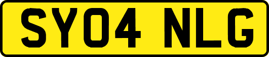 SY04NLG
