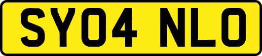 SY04NLO