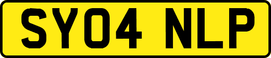 SY04NLP