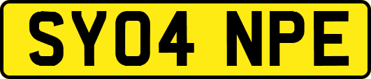 SY04NPE