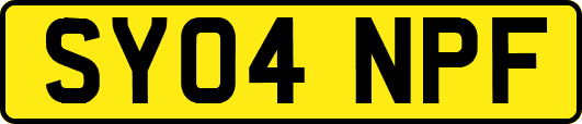 SY04NPF