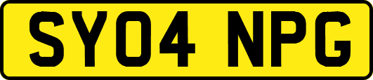 SY04NPG
