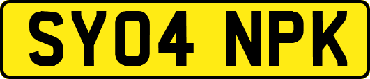 SY04NPK