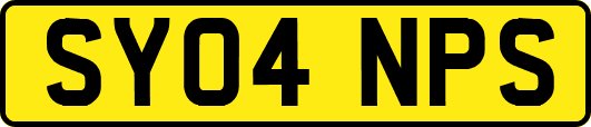 SY04NPS