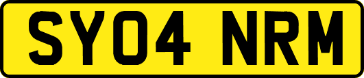 SY04NRM