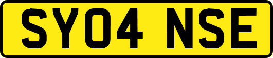 SY04NSE