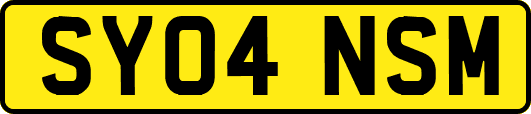 SY04NSM