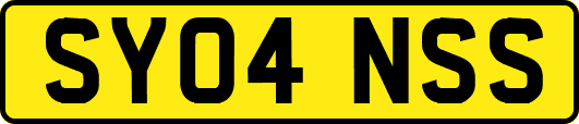 SY04NSS